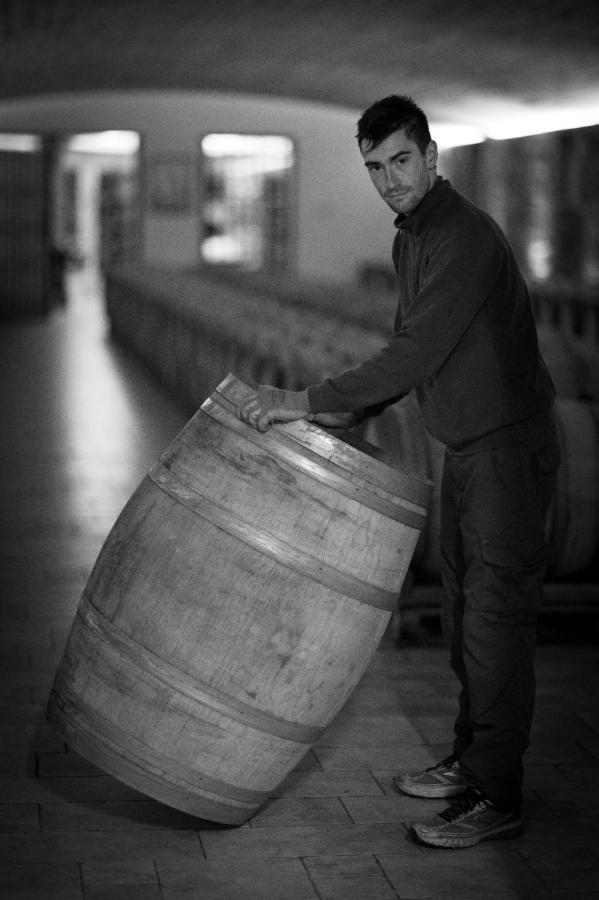 Il Roncal Wine Resort - For Wine Lovers Cividale del Friuli Zewnętrze zdjęcie