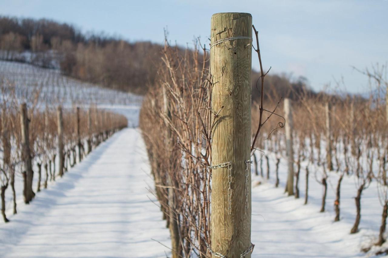Il Roncal Wine Resort - For Wine Lovers Cividale del Friuli Zewnętrze zdjęcie