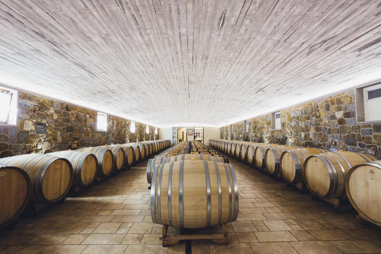 Il Roncal Wine Resort - For Wine Lovers Cividale del Friuli Zewnętrze zdjęcie
