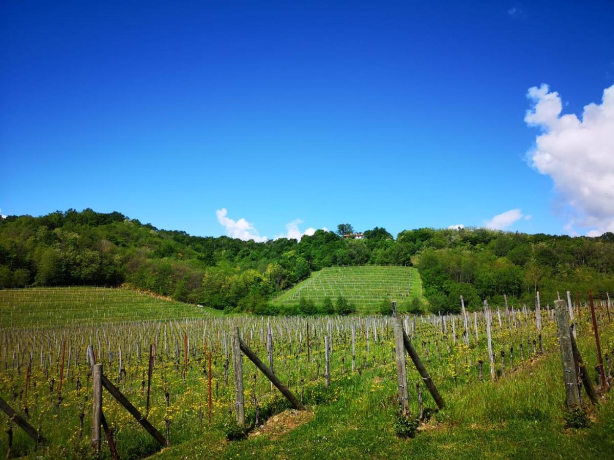 Il Roncal Wine Resort - For Wine Lovers Cividale del Friuli Zewnętrze zdjęcie