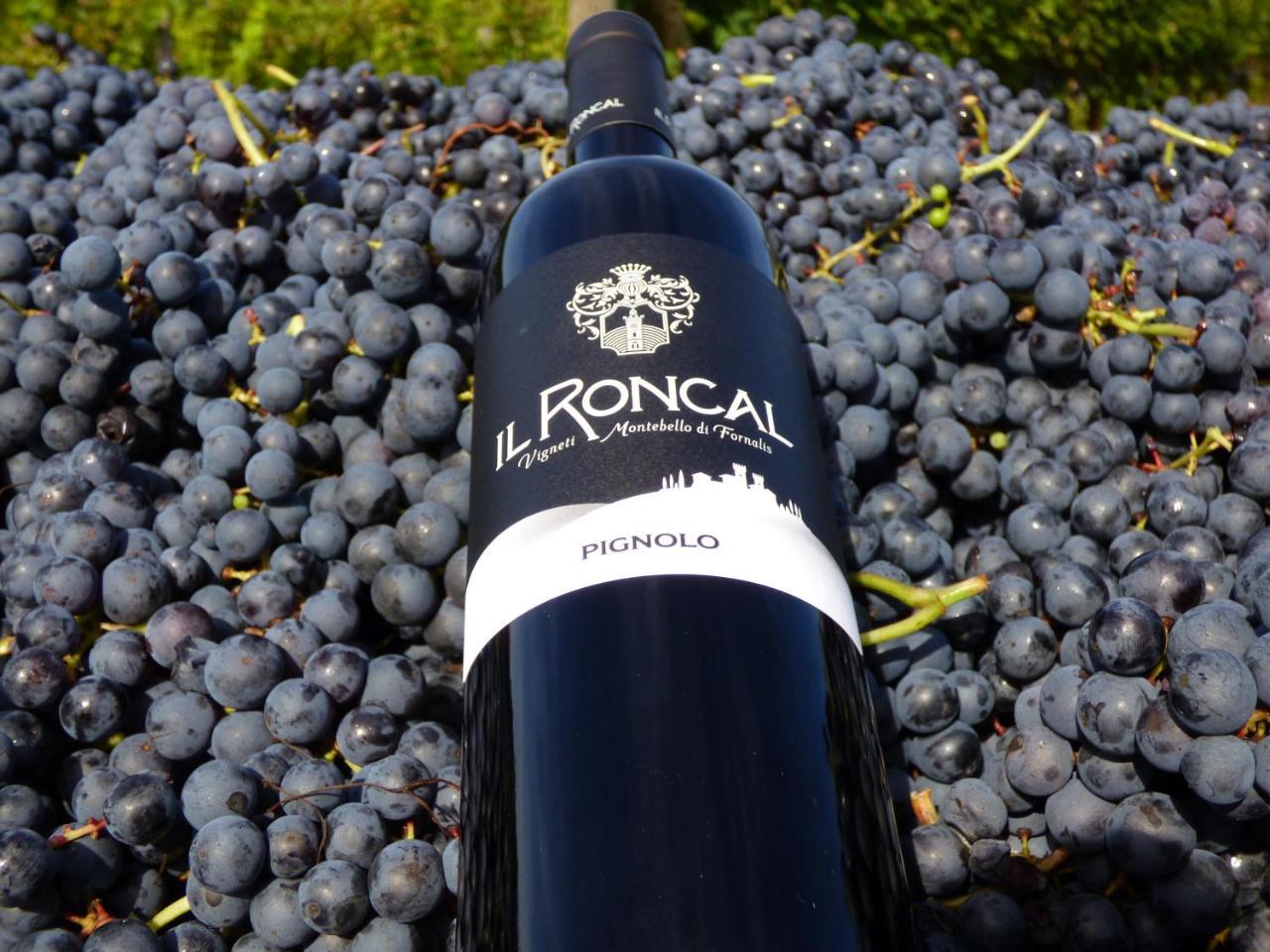 Il Roncal Wine Resort - For Wine Lovers Cividale del Friuli Zewnętrze zdjęcie